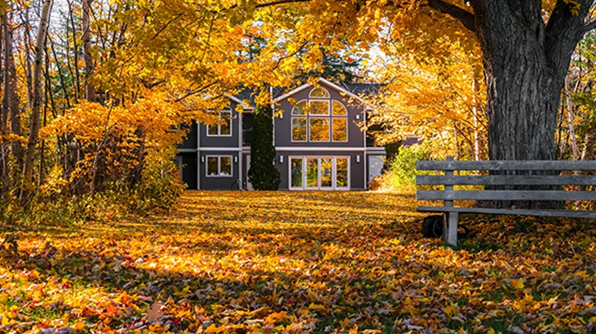 Michigan Home on a Fall day surrounded by trees shedding their leaves